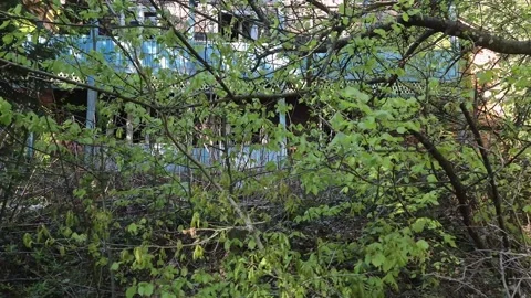 Abandoned dilapidated building in a mountain forest Vídeos de archivo 307935765