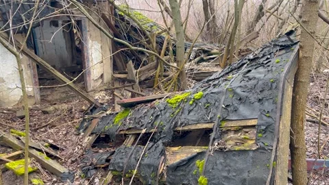 An abandoned, dilapidated house surrounded by leafless trees and overgrown Video stock 299946010