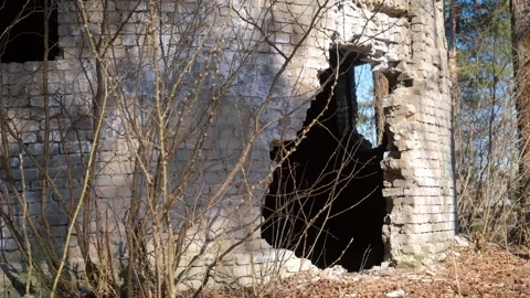 Abandoned dilapidated round brick building in spring forest nature park. Vídeos de archivo 311870403