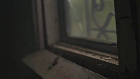 An Abandoned, Dusty Window with the Touch of Nature, Capturing a Stillness and Stock Footage 314574258