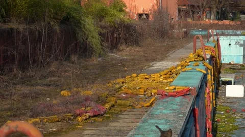 Abandoned empty outdoor Olympic pool Stock Footage 169576189