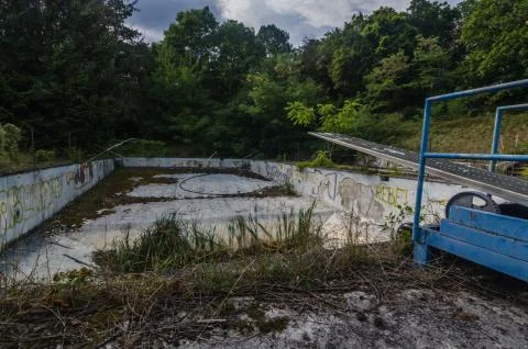 Abandoned empty swimming pool in a forest Stock Photos