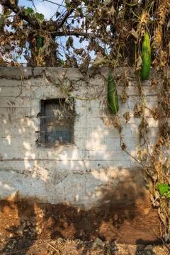Abandoned exotic white stone bricks wall with single rusted iron window Stock Photos