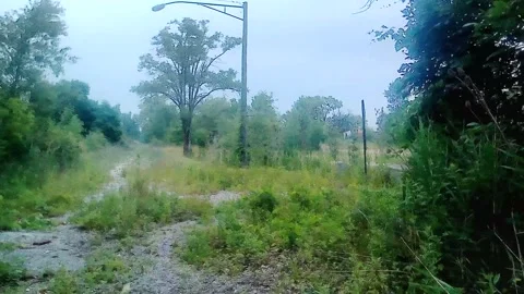 Abandoned, Extremely Bumpy Ride, Closed Road, Overgrown with Weeds, Harvey IL Stock-Footage 246698137