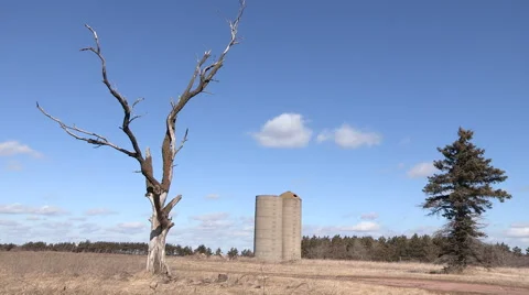 Abandoned Farm with Dead tree in foreground and Silos with tree in Background Stock Footage 47946474
