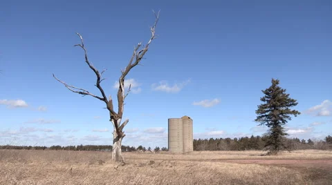 Abandoned Farm with Dead Tree in Foreground Silos with Pine Tree in background Video stock 47946708