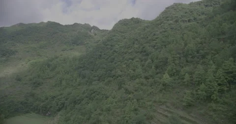 Abandoned Farm field deep inside Stock Footage 141373772