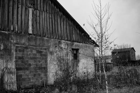 Abandoned farm with a weak tree Stock Photos