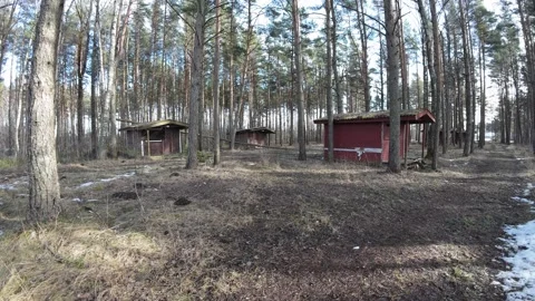 Abandoned-forest-cabins-pine-forest-slow-pan-001 Stock Footage 330761974