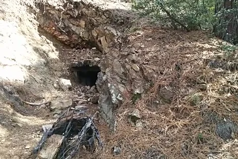 Abandoned Forest Gold Mine Stock Footage 168911224