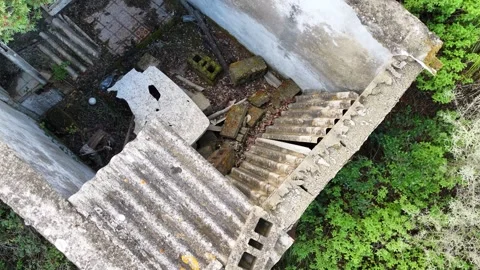 Abandoned Forest House with Collapsed Asbestos Roof. Stock Footage 346321014