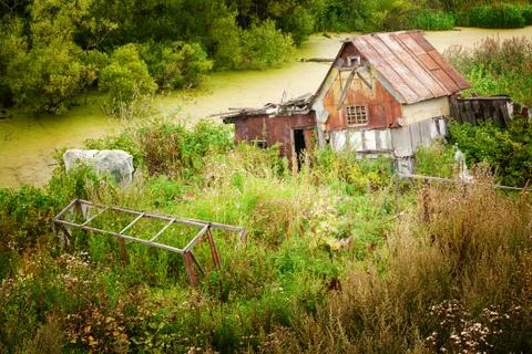 Abandoned forest hut Stock-Fotos