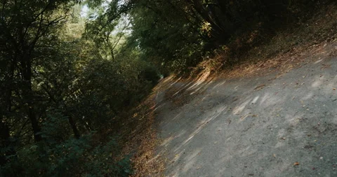 Abandoned forest road Stock Footage 138993804