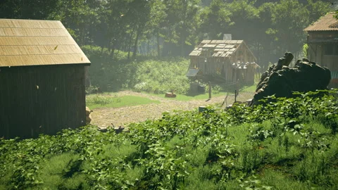 Abandoned forest settlement as seen from the forest 스톡 동영상 309070817