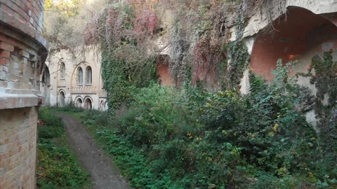 Abandoned Fortifications, Overgrown with Ivy, Second World War Stock Footage 99144445