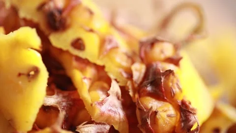 Abandoned fruit pineapple peel (1) Stock Footage 202234158