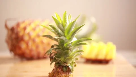 Abandoned fruit pineapple peel (2) Stock Footage 202234133