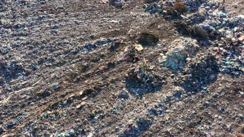 An abandoned garbage dump in the suburbs. The concept of pollution of nature by Stock Footage 153740500
