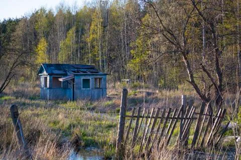 Abandoned garden plots in the spring. Collapsed wooden buildings. Stock Photos