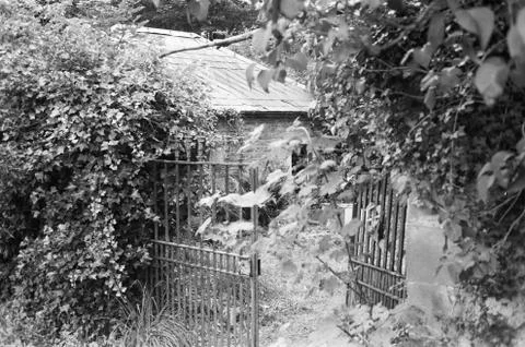 Abandoned gate on the garden Stock Photos