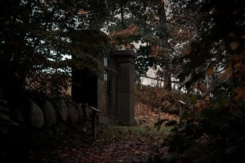 An abandoned gate in the woods Stock Photos