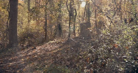 Abandoned Graveyard in Ghost Town During Autumn - Old Tombstone and Grave Vídeo Stock 119000722