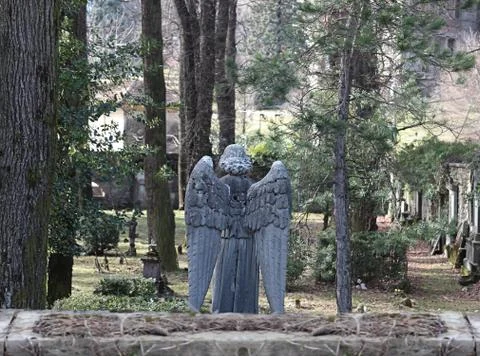 Abandoned graveyard Stock Photos