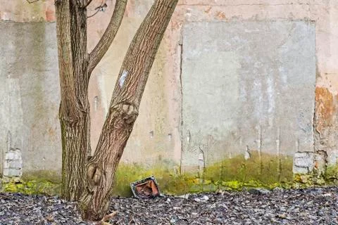 Abandoned grunge wall Stock Photos