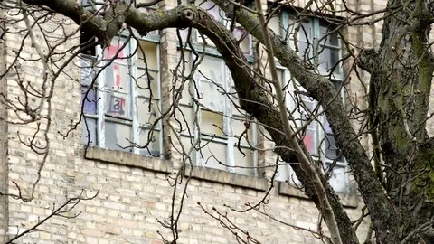 Abandoned Haunted House Window Closeup Stock Footage 73704331