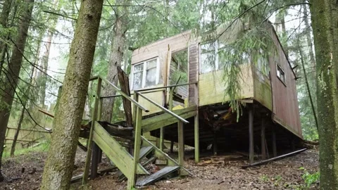 Abandoned horror house in the middle of deep dark spooky forest Stock Footage 158685013