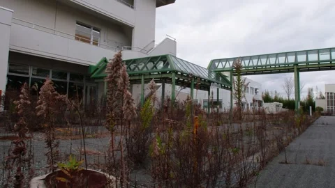 Abandoned Hospital Building and Overgrown Courtyard in Fukushima, Japan Stock Footage 336599853