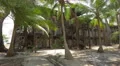 An abandoned hotel building on Contador Island, Panama 4k or 4k+ Resolution
