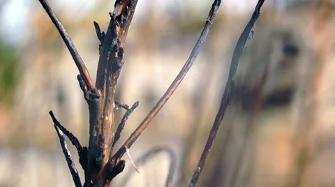 Abandoned house 4 Video stock 42127465