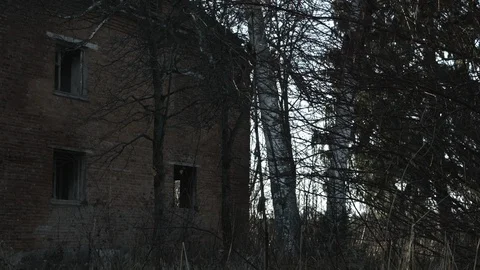 Abandoned house. Apocalypse. Stock Footage 98149587