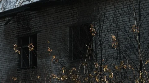 Abandoned house. Apocalypse. Stock Footage 98149904