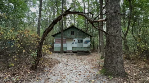 Abandoned house in the autumn forest Stock Footage 252503549