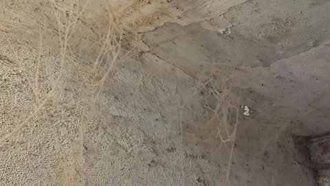 Abandoned house corner with peeling ceiling cracked walls heavy cobwebs Stock Footage 339029964