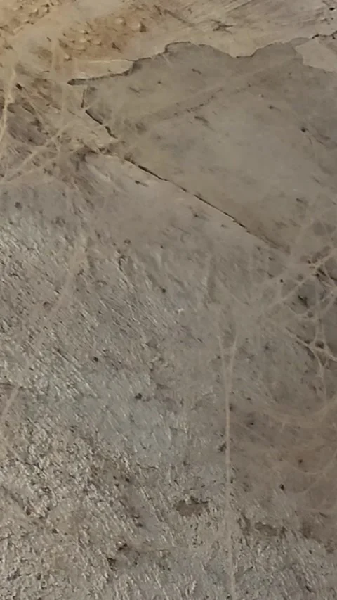 Abandoned house corner with peeling ceiling cracked walls heavy cobwebs Stock Footage 339029972