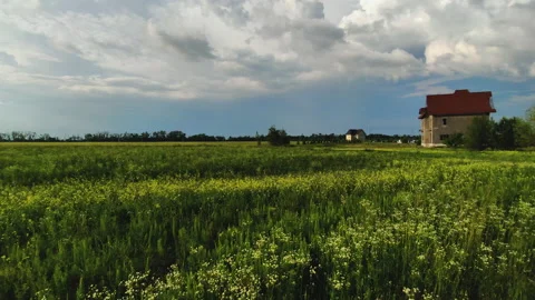 Abandoned house in the field Stock Footage 133515282