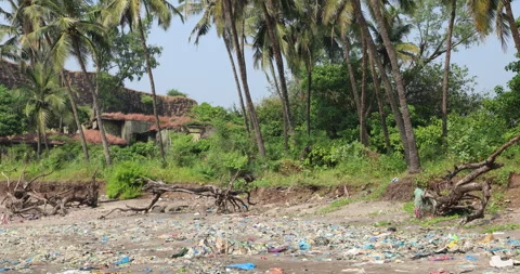 Abandoned House Stock Footage 320333701