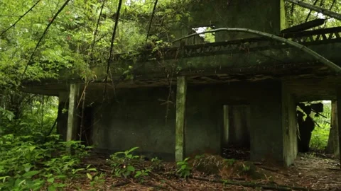 Abandoned house in the forest 스톡 동영상 149123174