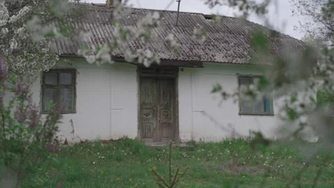Abandoned house in forest Stock Footage 298870759