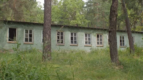 Abandoned house in forest, summer day 스톡 동영상 78213540