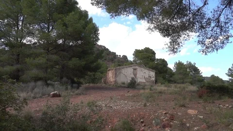 An abandoned house in the middle of the forest Video stock 92100511