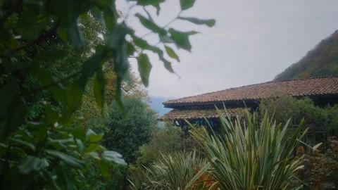 An abandoned house in the middle of a forest surrounded by mountains Stock Footage 220937416