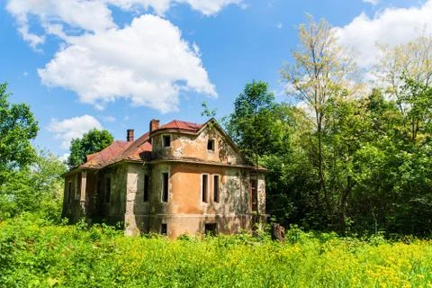 Abandoned house in the middle of the trees Foto stock