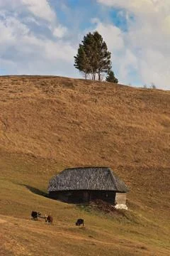 Abandoned house Stock Photos