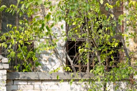 Abandoned house Foto stock