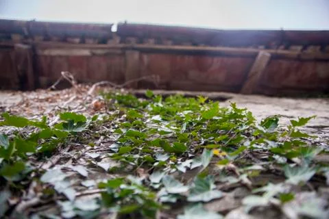 An abandoned house Foto stock