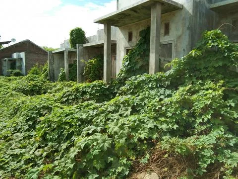 Abandoned house Stock Photos
